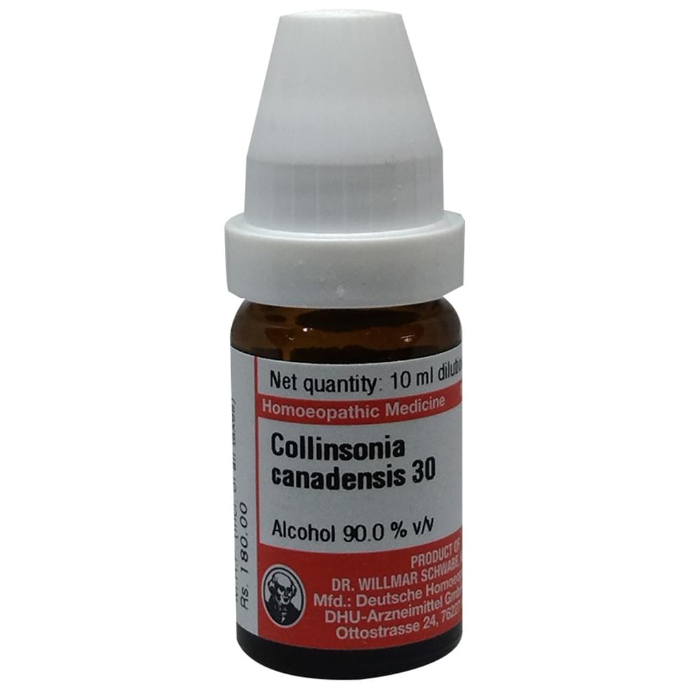 Dr Willmar Schwabe Germany Collinsonia Canadensis Dilution 30 bottle of 10 ml Dilution