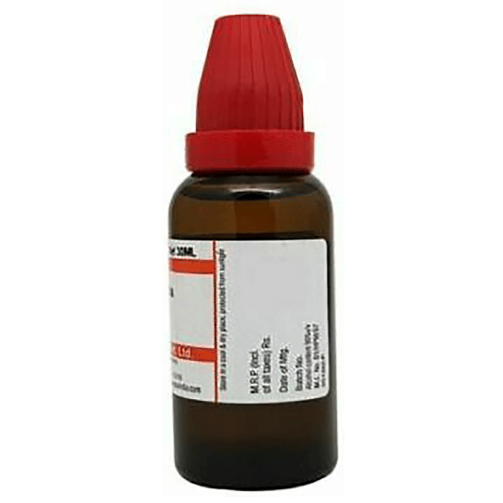 Dr Willmar Schwabe India Terminalia Arjuna Mother Tincture Q bottle of 30 ml Mother Tincture Dr Willmar Schwabe India Terminalia Arjuna Mother Tincture Q bottle of 30 ml Mother Tincture