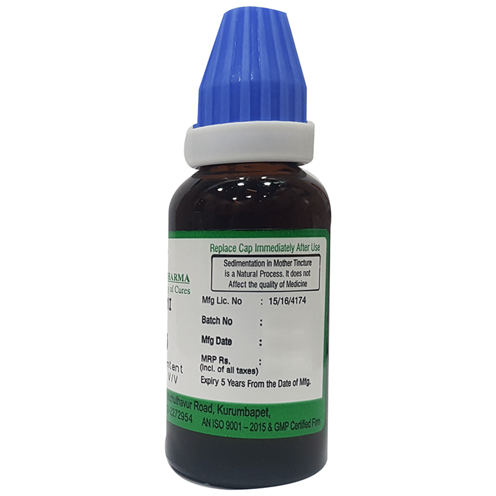 Hering Pharma Brahmi Mother Tincture Q bottle of 30 ml Mother Tincture