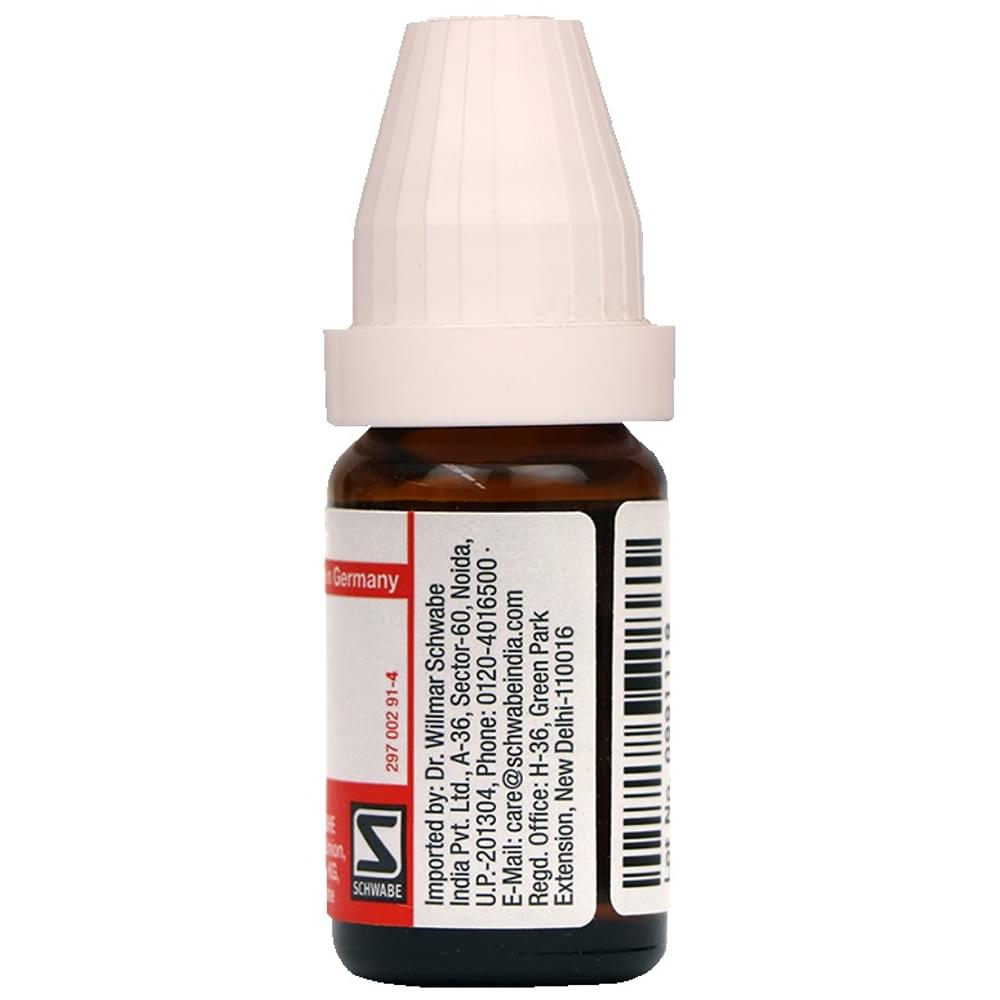 Dr Willmar Schwabe Germany Rhus Toxicodendron Dilution 200 bottle of 10 ml Dilution