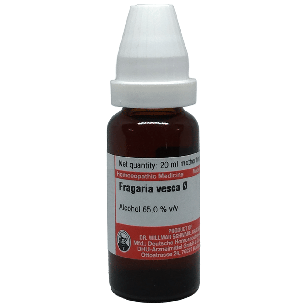 Dr Willmar Schwabe Germany Fragaria Vesea Mother Tincture Q bottle of 20 ml Mother Tincture