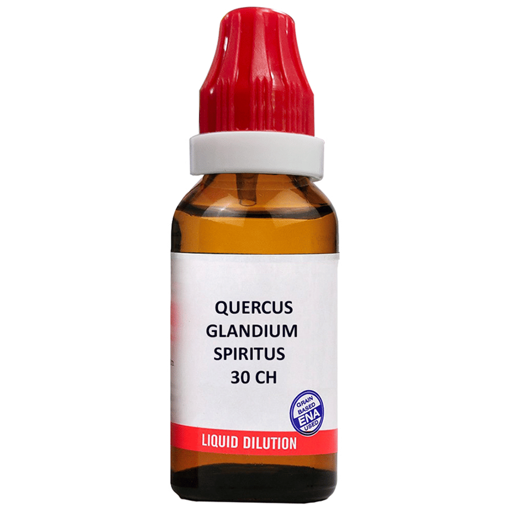 Bjain Quercus Glandium Spiritus Dilution 30 CH bottle of 10 ml Dilution