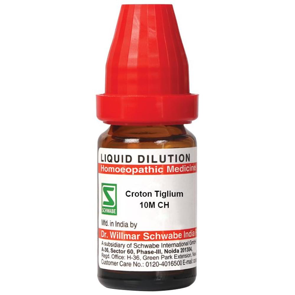 Dr Willmar Schwabe India Croton Tiglium Dilution 10M CH bottle of 10 ml Dilution