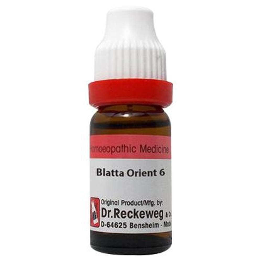 Dr. Reckeweg Blatta Orient Dilution 6 CH bottle of 11 ml Dilution Dr. Reckeweg Blatta Orient Dilution 6 CH bottle of 11 ml Dilution