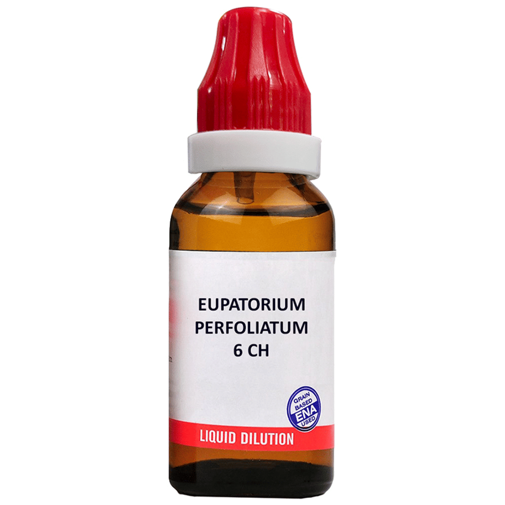 Bjain Eupatorium Perfoliatum Dilution 6 CH bottle of 30 ml Dilution