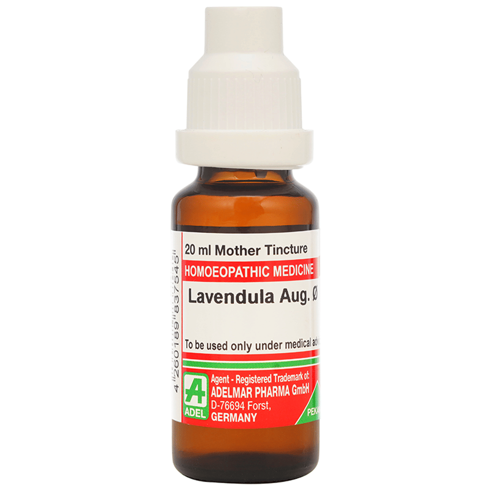 ADEL Lavendula Aug. Mother Tincture Q bottle of 20 ml Mother Tincture ADEL Lavendula Aug. Mother Tincture Q bottle of 20 ml Mother Tincture