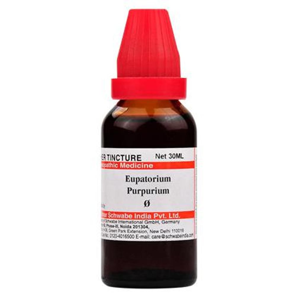 Dr Willmar Schwabe India Eupatorium Purpurium Mother Tincture Q bottle of 30 ml Mother Tincture Dr Willmar Schwabe India Eupatorium Purpurium Mother Tincture Q bottle of 30 ml Mother Tincture
