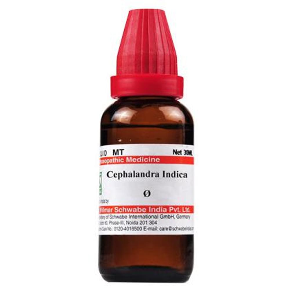 Dr Willmar Schwabe India Cephalandra Indica Mother Tincture Q bottle of 30 ml Mother Tincture Dr Willmar Schwabe India Cephalandra Indica Mother Tincture Q bottle of 30 ml Mother Tincture
