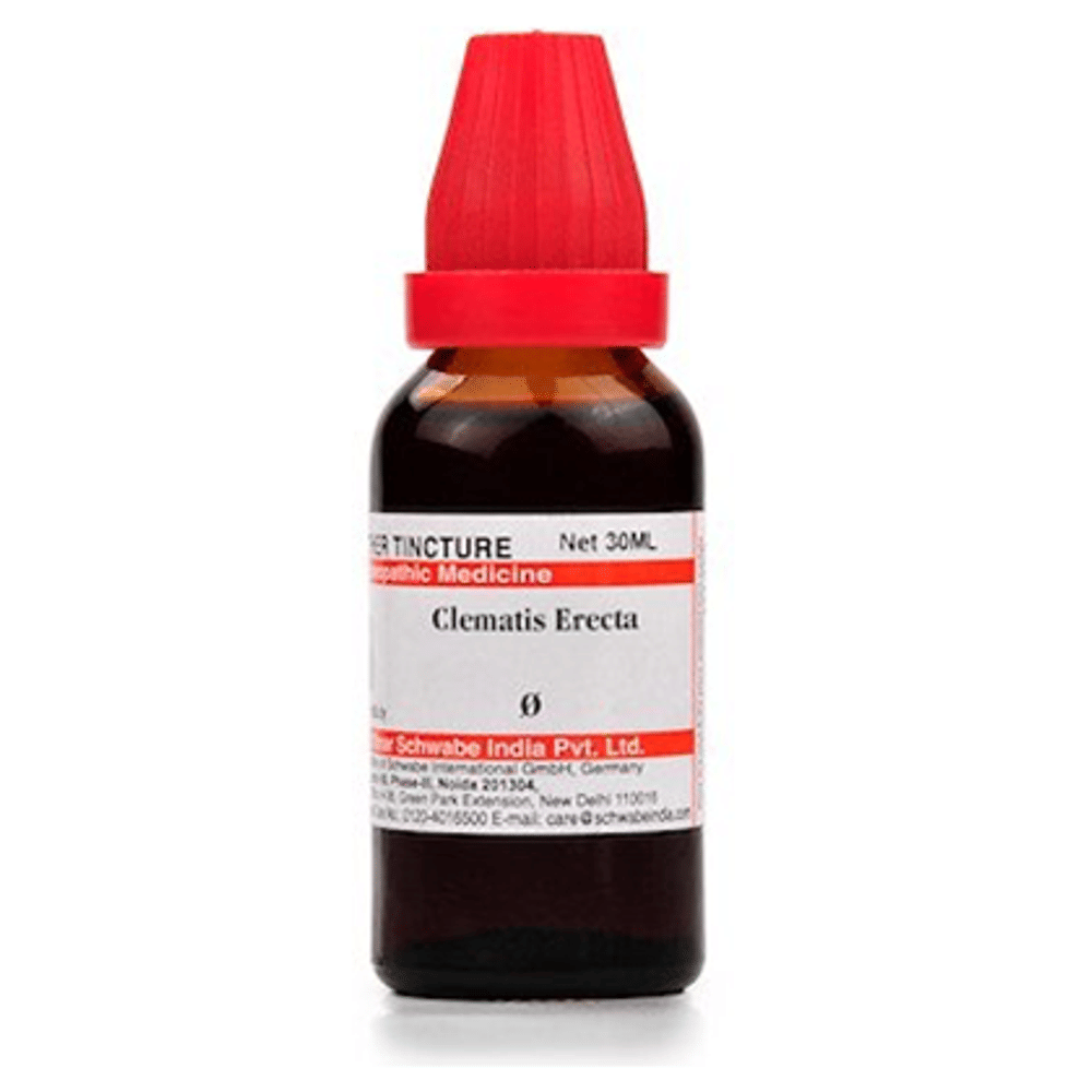 Dr Willmar Schwabe India Clematis Erecta Mother Tincture Q bottle of 30 ml Mother Tincture Dr Willmar Schwabe India Clematis Erecta Mother Tincture Q bottle of 30 ml Mother Tincture