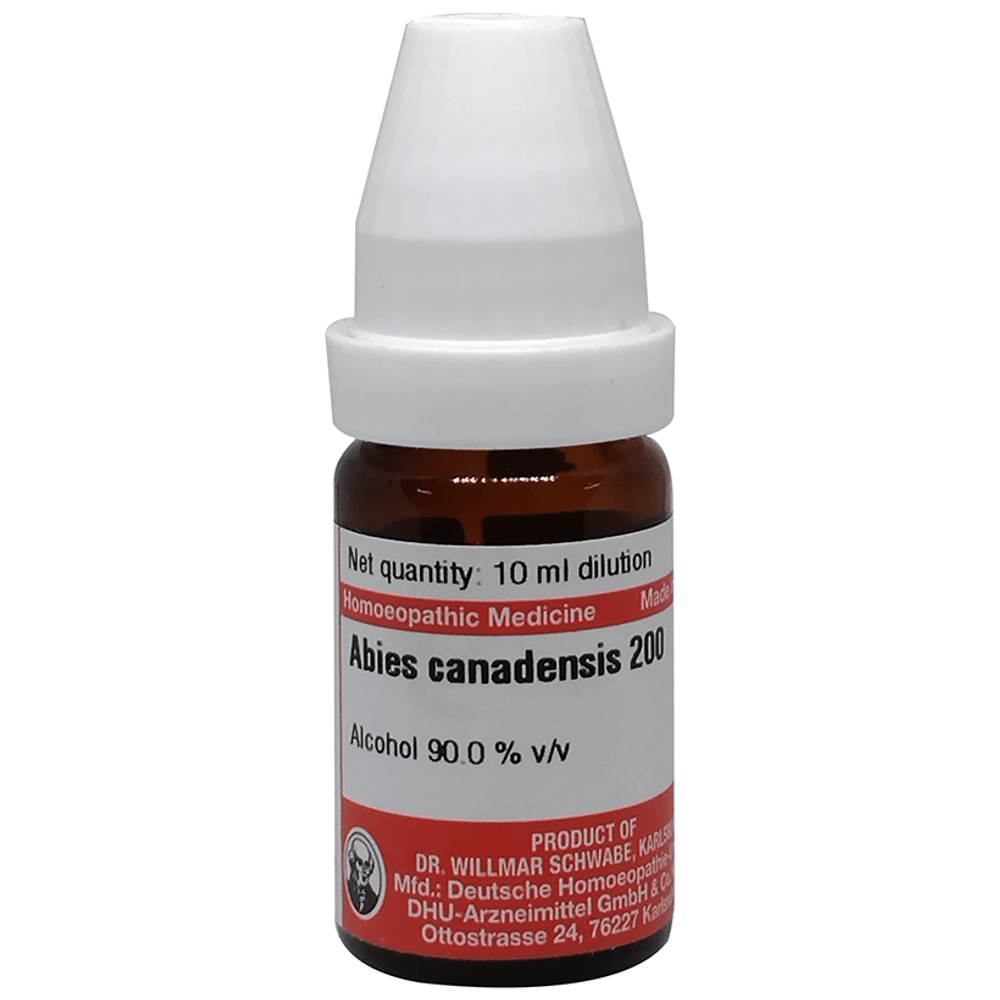 Dr Willmar Schwabe Germany Abies Canadensis Dilution 200 bottle of 10 ml Dilution