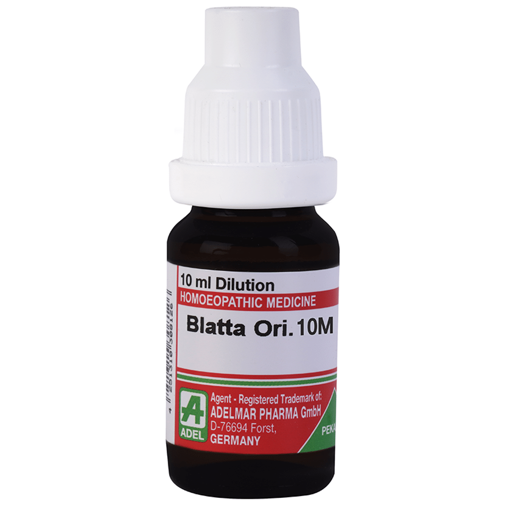 ADEL Blatta Ori. Dilution 10M bottle of 10 ml Dilution