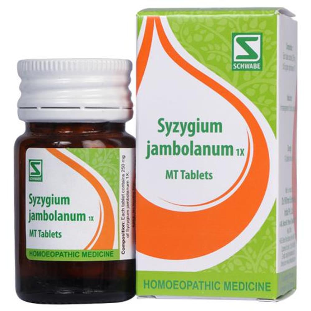 Dr Willmar Schwabe India Syzygium Jambolanum Trituration Tablet 1X bottle of 20 gm Trituration Tablet