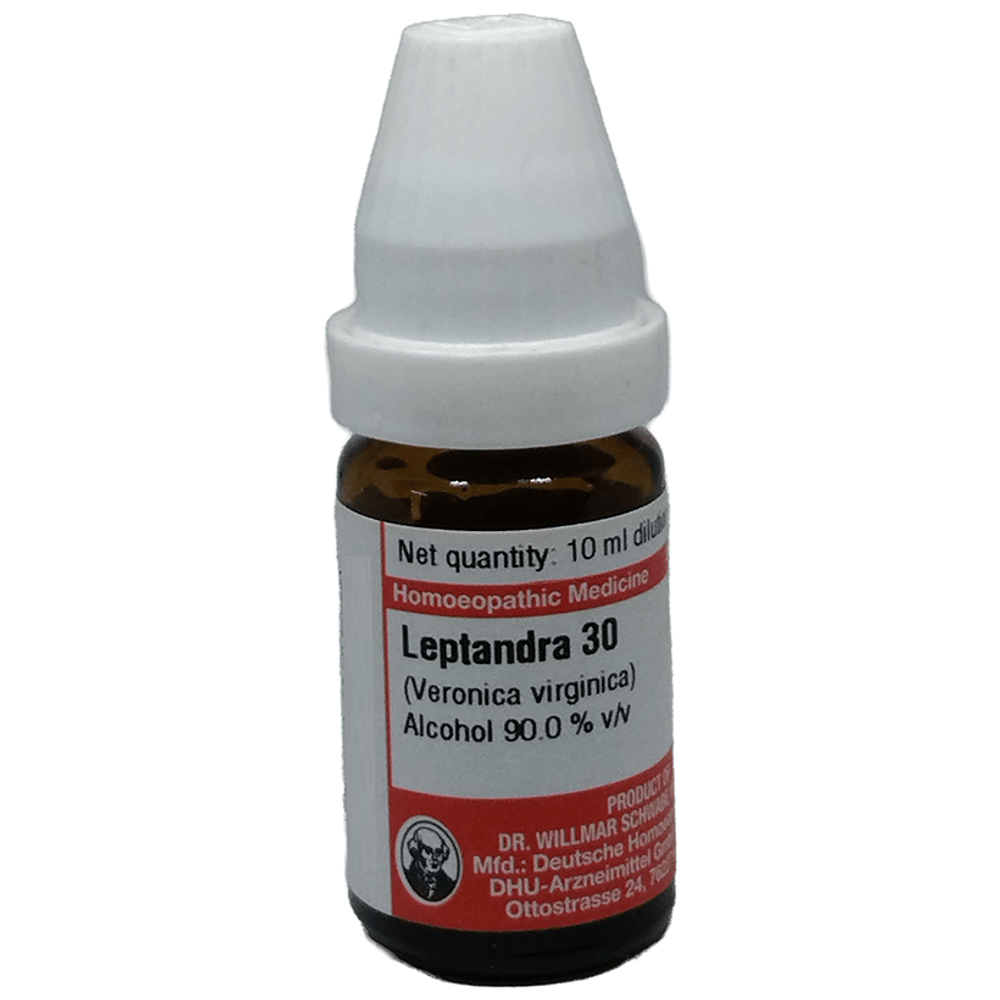Dr Willmar Schwabe Germany Laptandra (Veronica Vitginica) Dilution 30 bottle of 10 ml Dilution