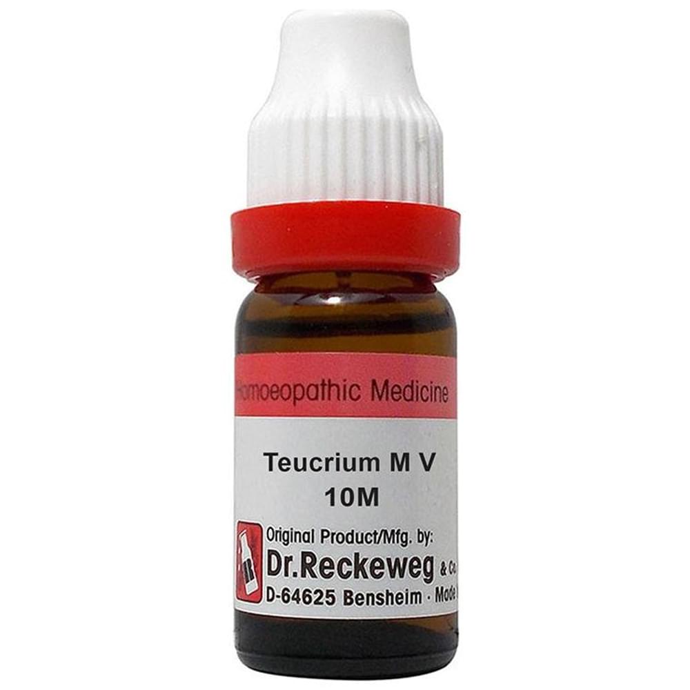 Dr. Reckeweg Teucrium M V Dilution 10M CH bottle of 11 ml Dilution