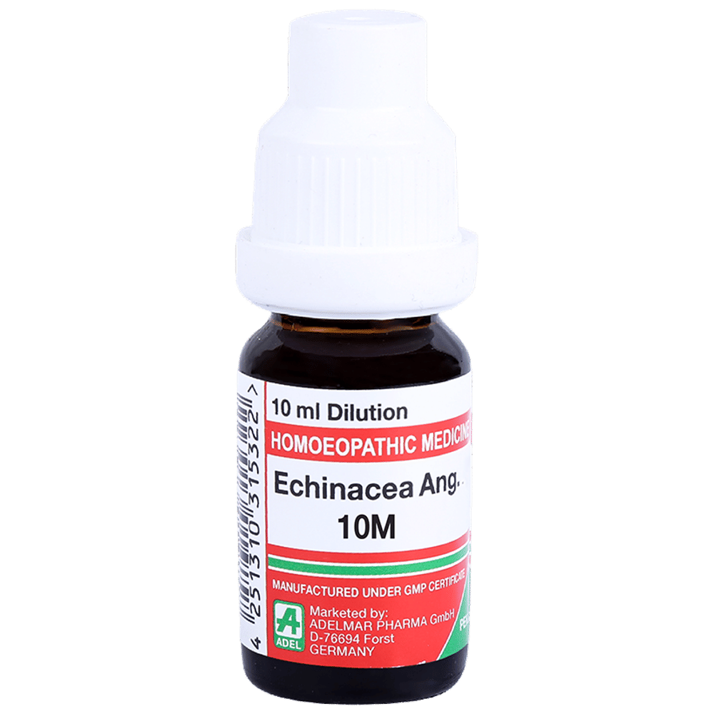 ADEL Echinacea Ang. Dilution 10M bottle of 10 ml Dilution