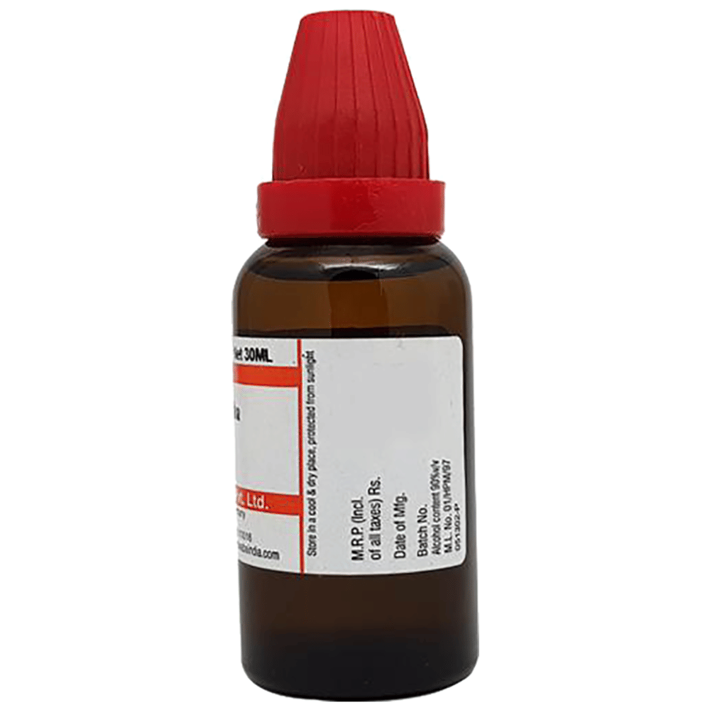 Dr. Reckeweg Pulsatilla Dilution 200 CH bottle of 11 ml Dilution Dr. Reckeweg Pulsatilla Dilution 200 CH bottle of 11 ml Dilution