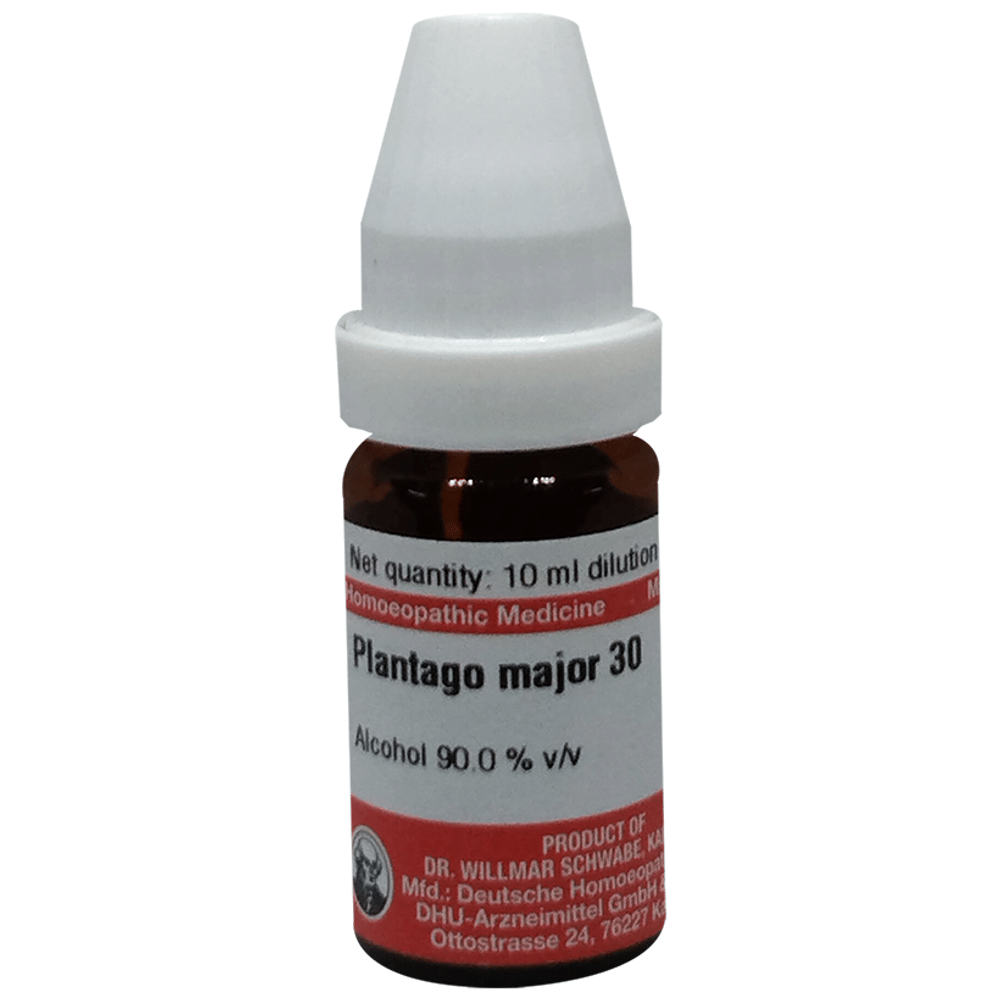 Dr Willmar Schwabe Germany Plantago Major Dilution 30 bottle of 10 ml Dilution