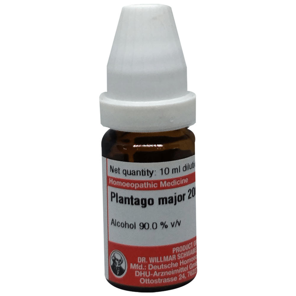Dr Willmar Schwabe Germany Plantago Major Dilution 200 bottle of 10 ml Dilution