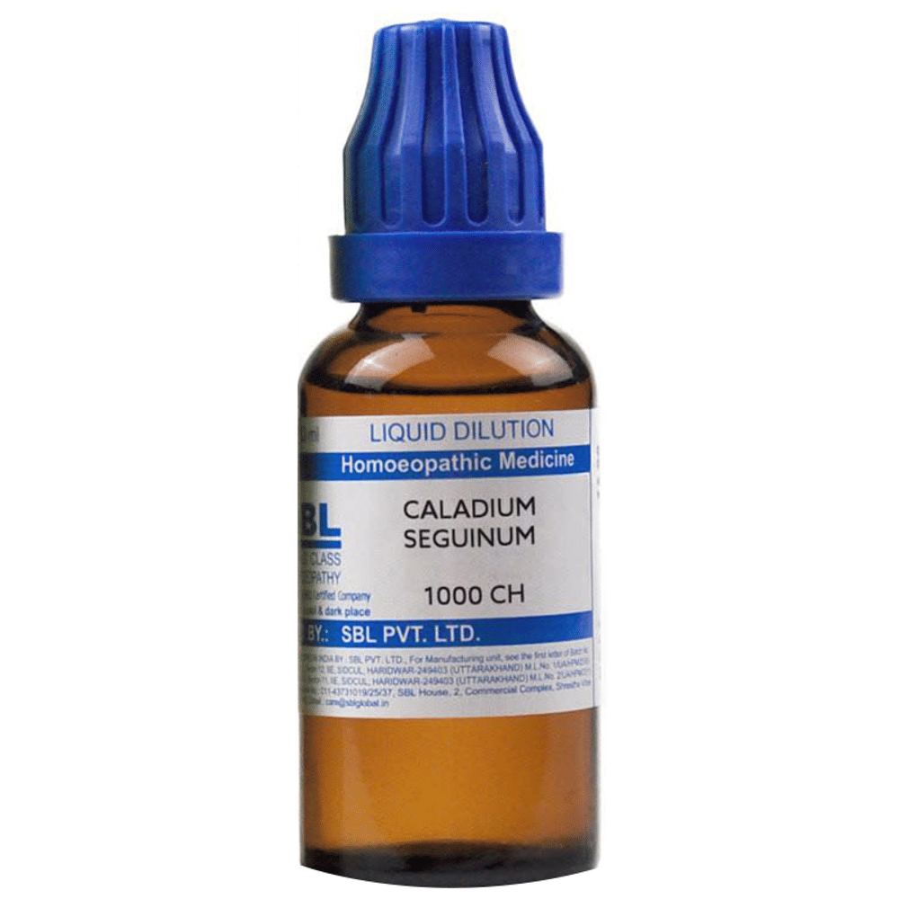 SBL Caladium Seguinum Dilution 1000 CH bottle of 30 ml Dilution