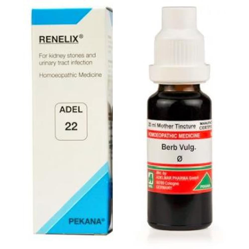ADEL Kidney Stone Care Combo (ADEL 22 + ADEL Berberis Vulg Mother Tincture Q) packet of 1 Kit