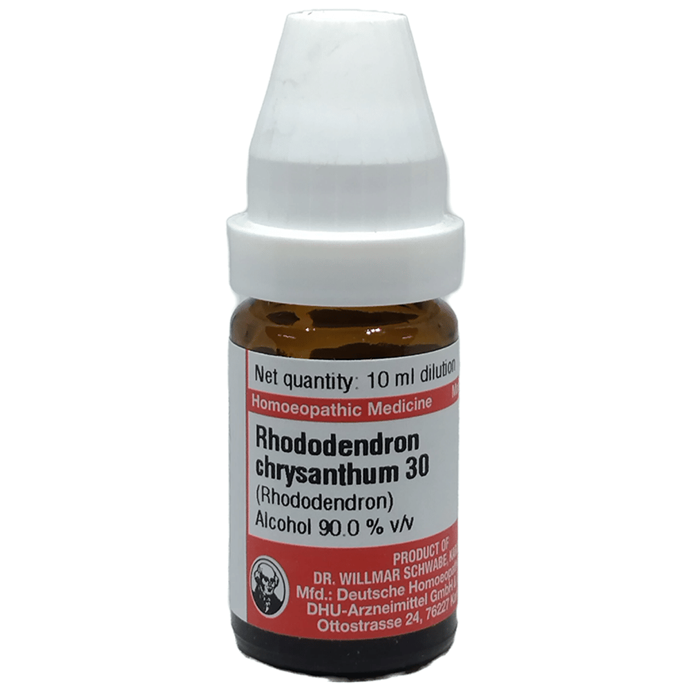Dr Willmar Schwabe Germany Rhododendron Chrysanthum Dilution 30 bottle of 10 ml Dilution
