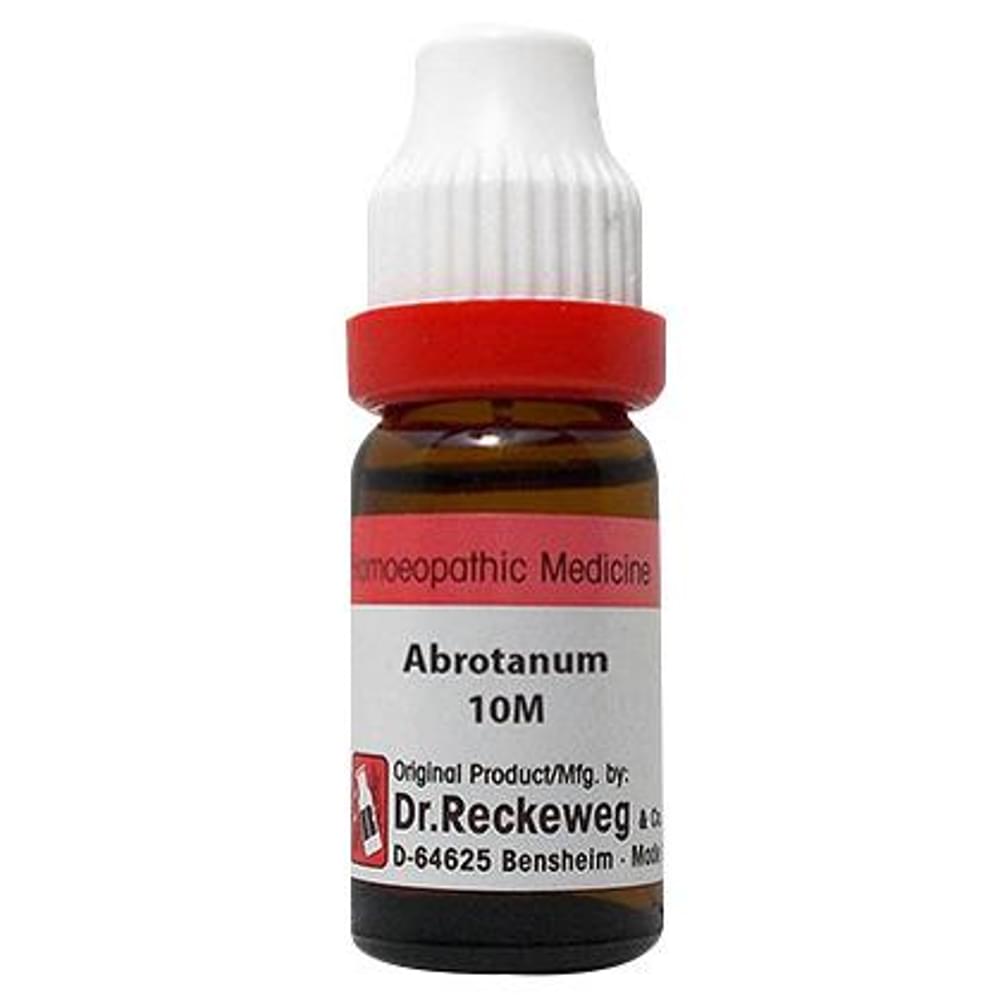 Dr. Reckeweg Abrotanum Dilution 10M CH bottle of 11 ml Dilution