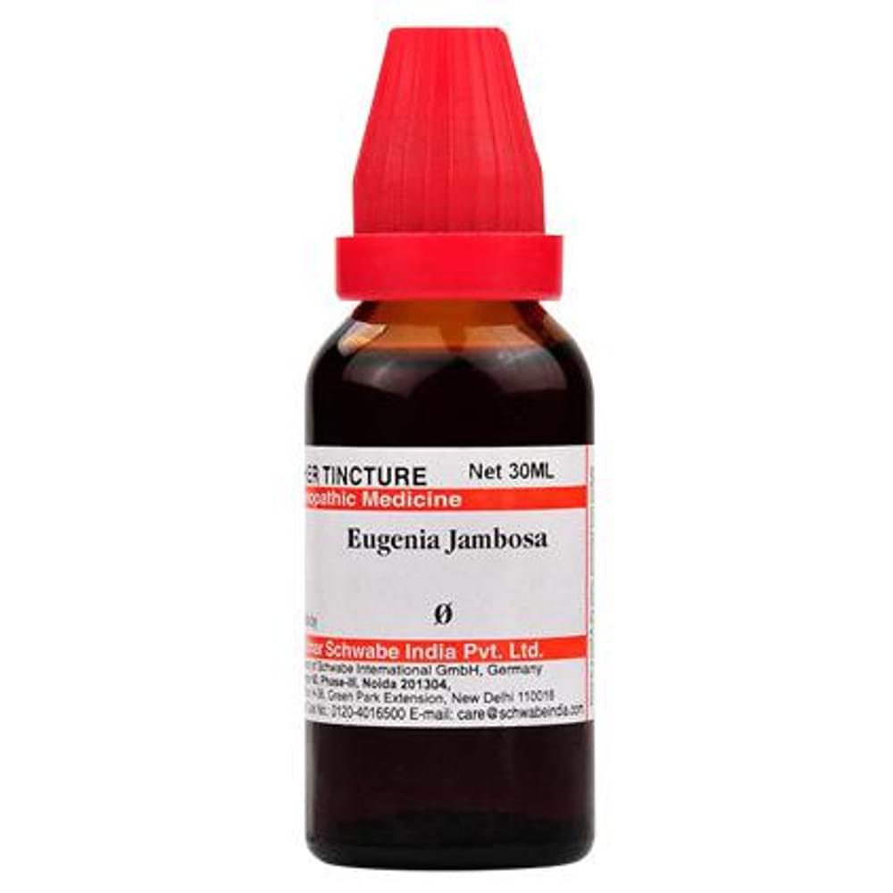 Dr Willmar Schwabe India Eugenia Jambosa Mother Tincture Q bottle of 30 ml Mother Tincture Dr Willmar Schwabe India Eugenia Jambosa Mother Tincture Q bottle of 30 ml Mother Tincture
