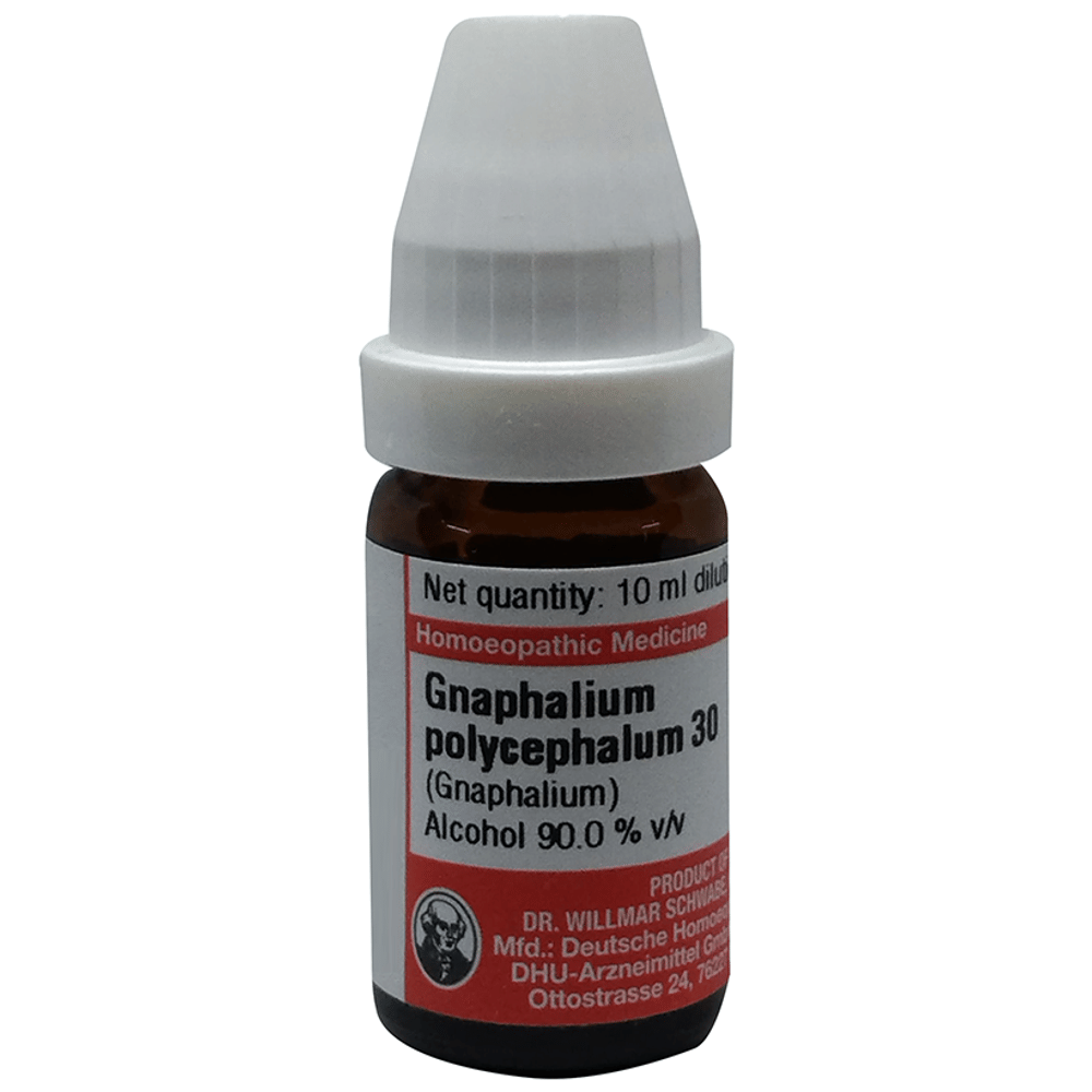 Dr Willmar Schwabe Germany Gnaphalium Polycephalum Dilution 30 bottle of 10 ml Dilution