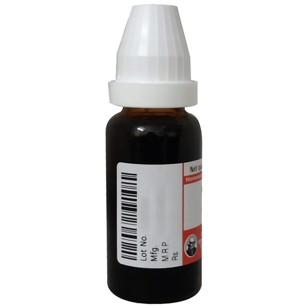 Dr Willmar Schwabe Germany Pulsatilla Nigricans Dilution 1M bottle of 10 ml Dilution Dr Willmar Schwabe Germany Pulsatilla Nigricans Dilution 1M bottle of 10 ml Dilution