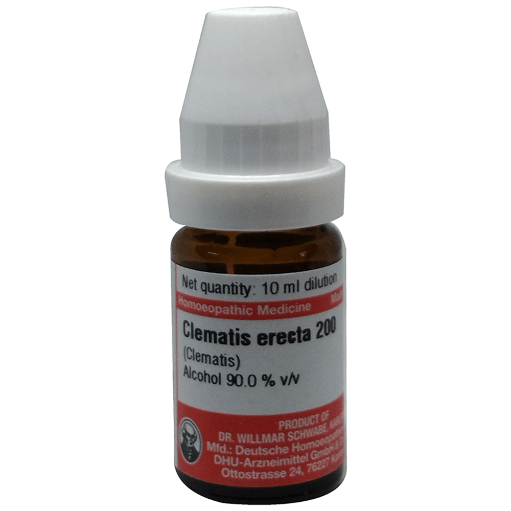 Dr Willmar Schwabe Germany Clematis Erecta Dilution 200 bottle of 10 ml Dilution