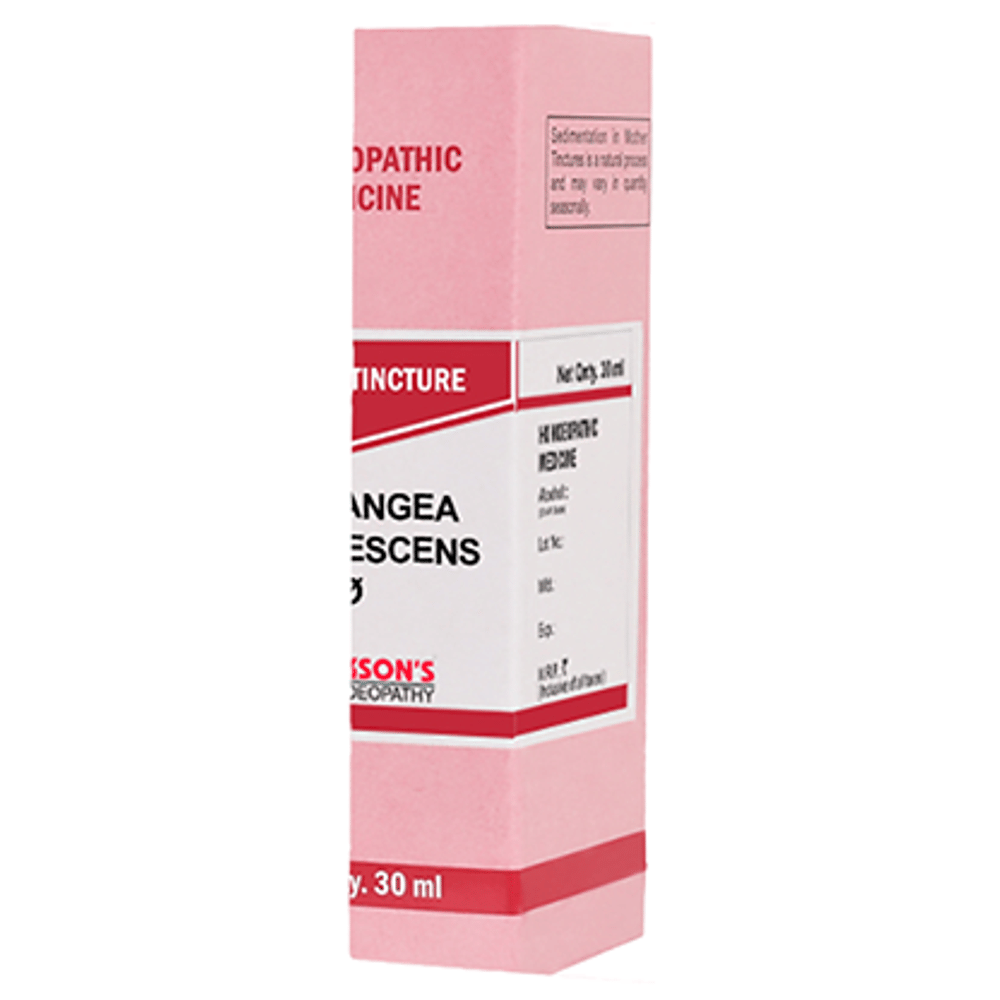 Bakson's Homeopathy Hydrangea Arborescens Mother Tincture Q bottle of 30 ml Mother Tincture