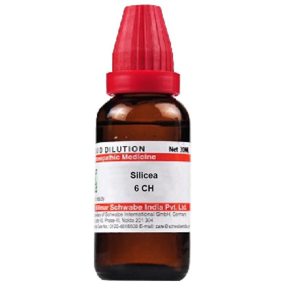 Dr Willmar Schwabe India Silicea Dilution 6 CH bottle of 30 ml Dilution Dr Willmar Schwabe India Silicea Dilution 6 CH bottle of 30 ml Dilution