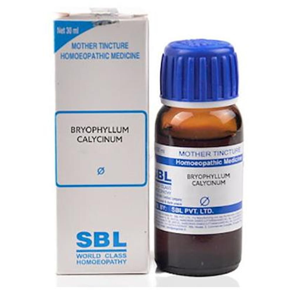 SBL Bryophyllum Calycinum Mother Tincture Q bottle of 30 ml Mother Tincture SBL Bryophyllum Calycinum Mother Tincture Q bottle of 30 ml Mother Tincture
