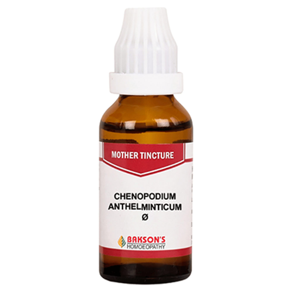 Bakson's Homeopathy Chenopodium Anthelminticum Mother Tincture Q bottle of 30 ml Mother Tincture Bakson's Homeopathy Chenopodium Anthelminticum Mother Tincture Q bottle of 30 ml Mother Tincture