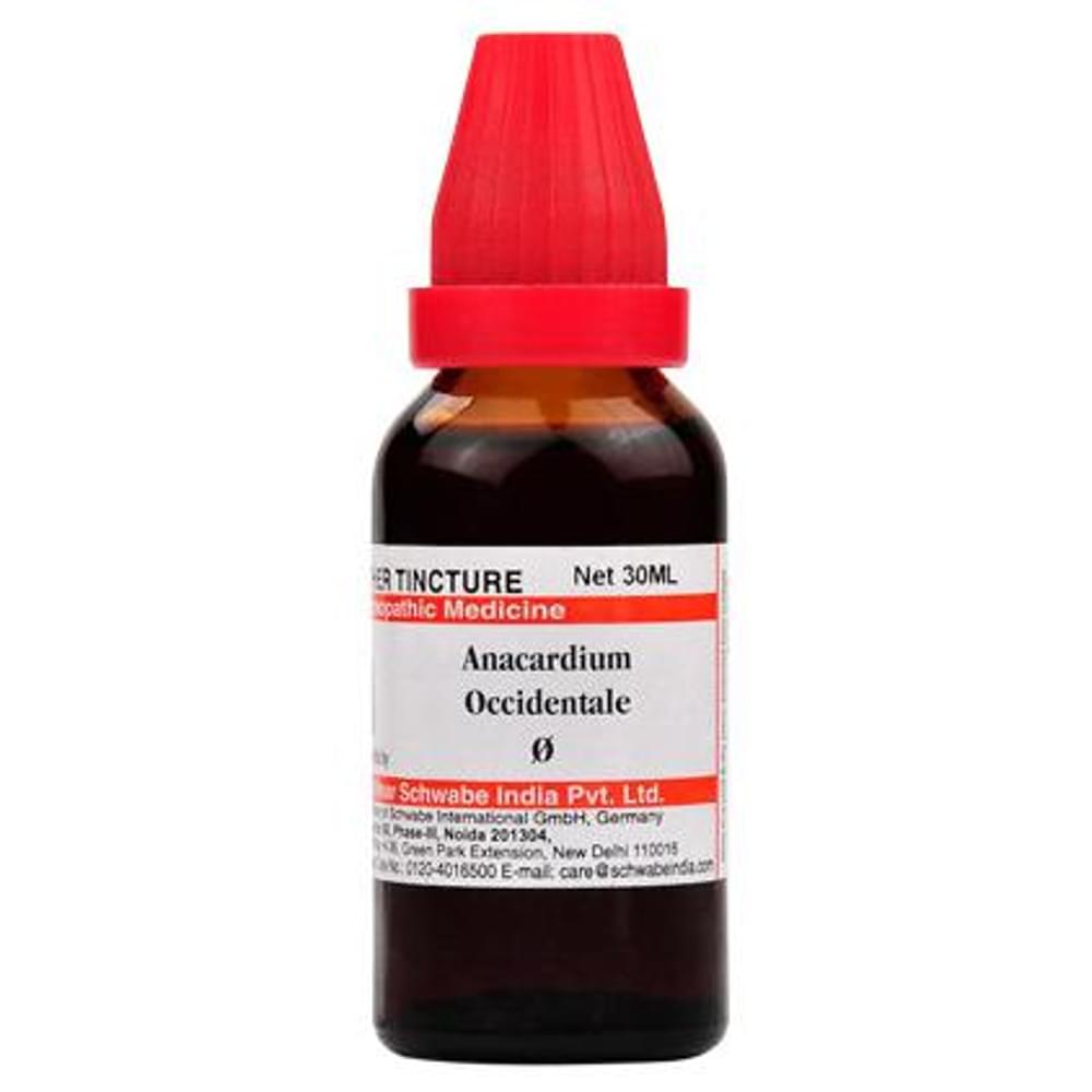Dr Willmar Schwabe India Anacardium Occidentale Mother Tincture Q bottle of 30 ml Mother Tincture Dr Willmar Schwabe India Anacardium Occidentale Mother Tincture Q bottle of 30 ml Mother Tincture