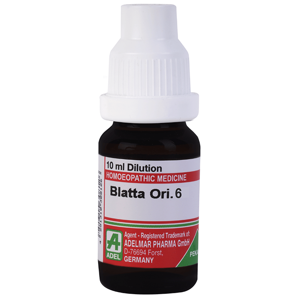ADEL Blatta Ori. Dilution 6 bottle of 10 ml Dilution