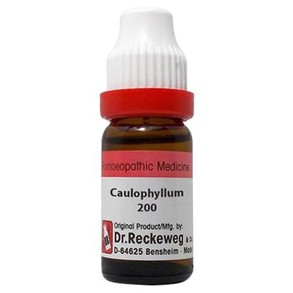 Dr. Reckeweg Caulophyllum Dilution 200 CH bottle of 11 ml Dilution Dr. Reckeweg Caulophyllum Dilution 200 CH bottle of 11 ml Dilution