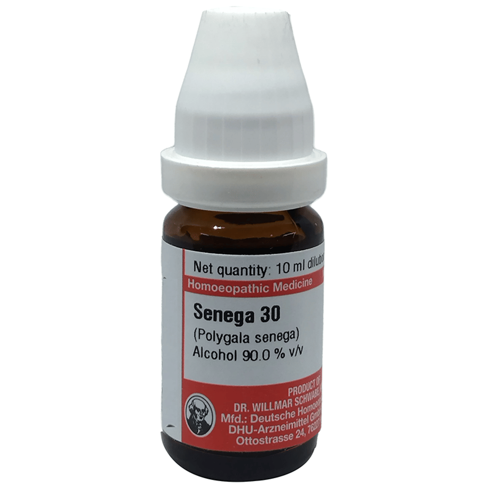 Dr Willmar Schwabe Germany Senega (Polygala Senega) Dilution 30 bottle of 10 ml Dilution
