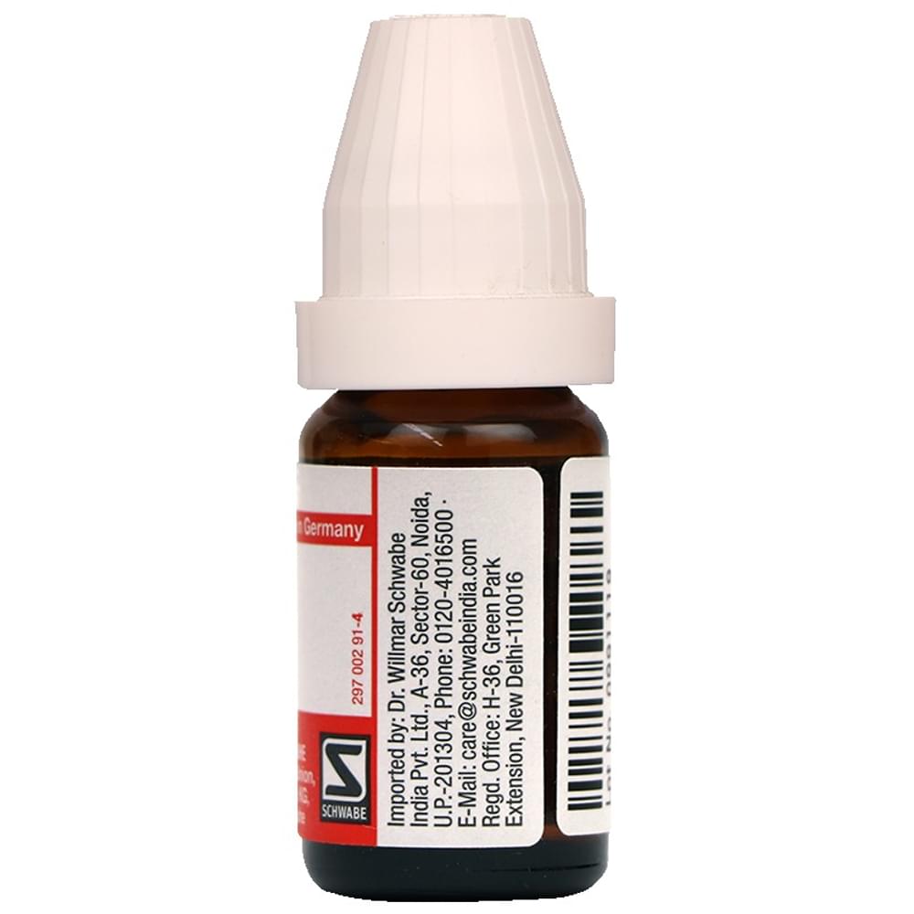 Dr Willmar Schwabe Germany Thuja Occidentalis Dilution 200 bottle of 10 ml Dilution