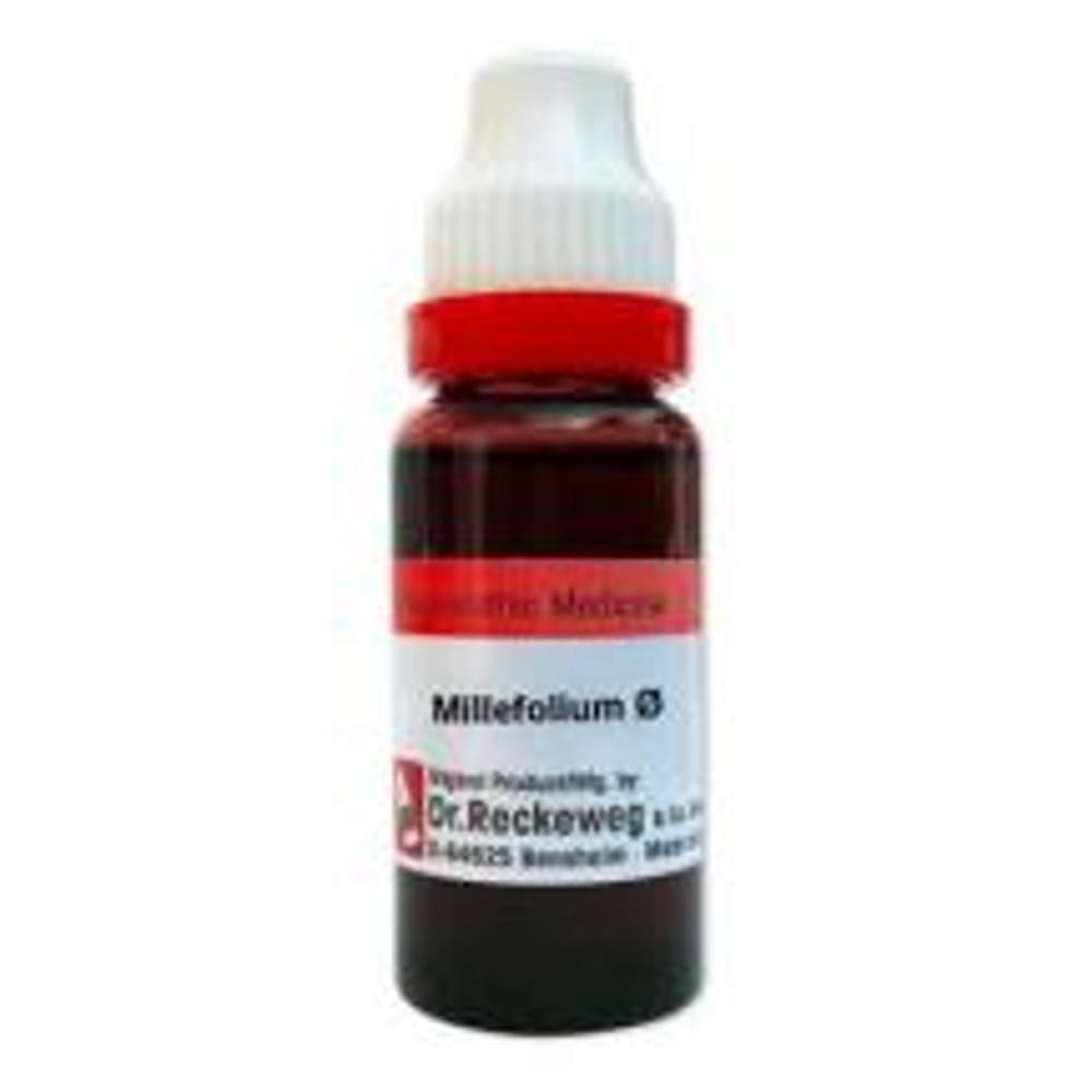 Dr. Reckeweg Millefolium Mother Tincture Q bottle of 20 ml Mother Tincture