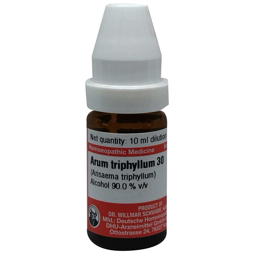Dr Willmar Schwabe Germany Arum Triphyllum Dilution 30 bottle of 10 ml Dilution