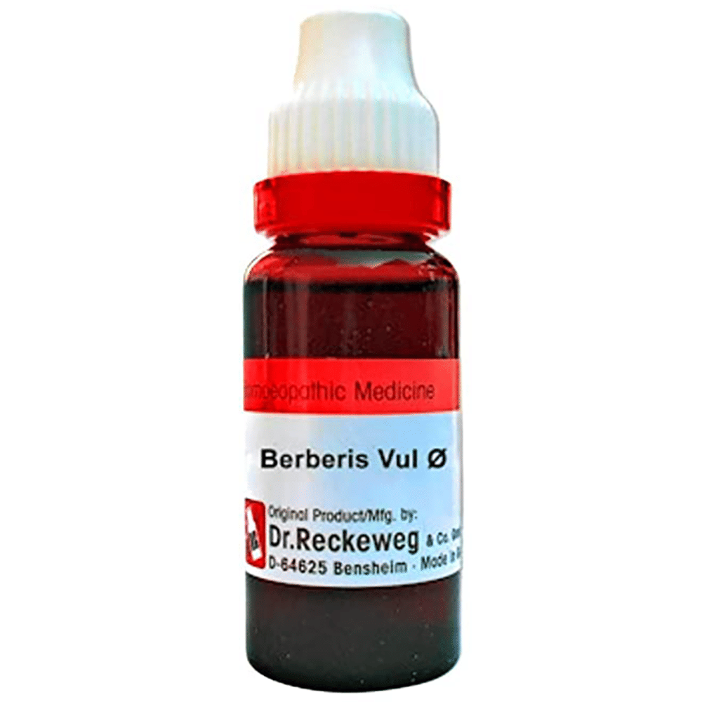ADEL Kidney Stone Care Combo (ADEL 22 + ADEL Berberis Vulg Mother Tincture Q) packet of 1 Kit ADEL Kidney Stone Care Combo (ADEL 22 + ADEL Berberis Vulg Mother Tincture Q) packet of 1 Kit