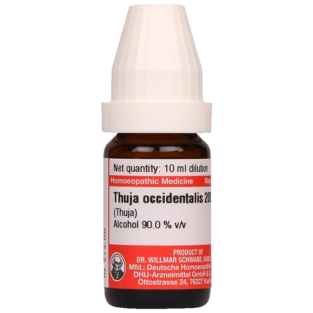 Dr Willmar Schwabe Germany Thuja Occidentalis Dilution 200 bottle of 10 ml Dilution