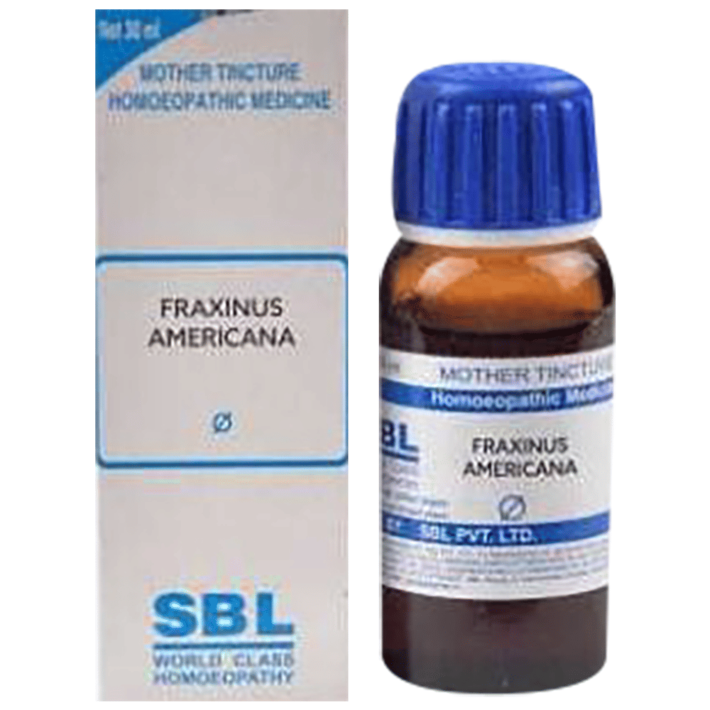 SBL Fraxinus Americana Mother Tincture Q bottle of 30 ml Mother Tincture