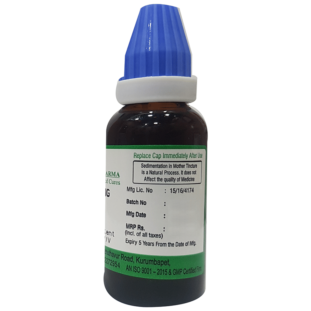 Hering Pharma Ginseng Mother Tincture Q bottle of 30 ml Mother Tincture
