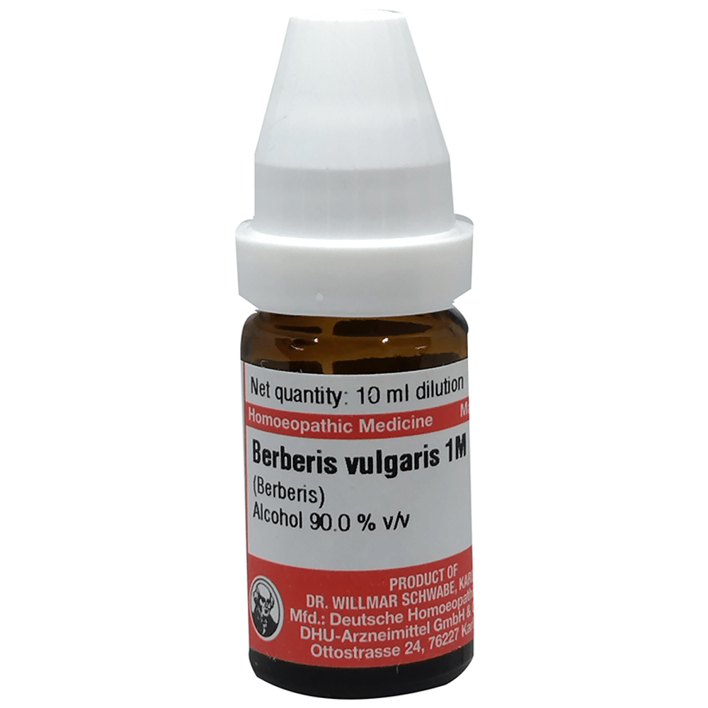 Dr Willmar Schwabe Germany Berberis Vulgaris (Berberis) Dilution 1M bottle of 10 ml Dilution