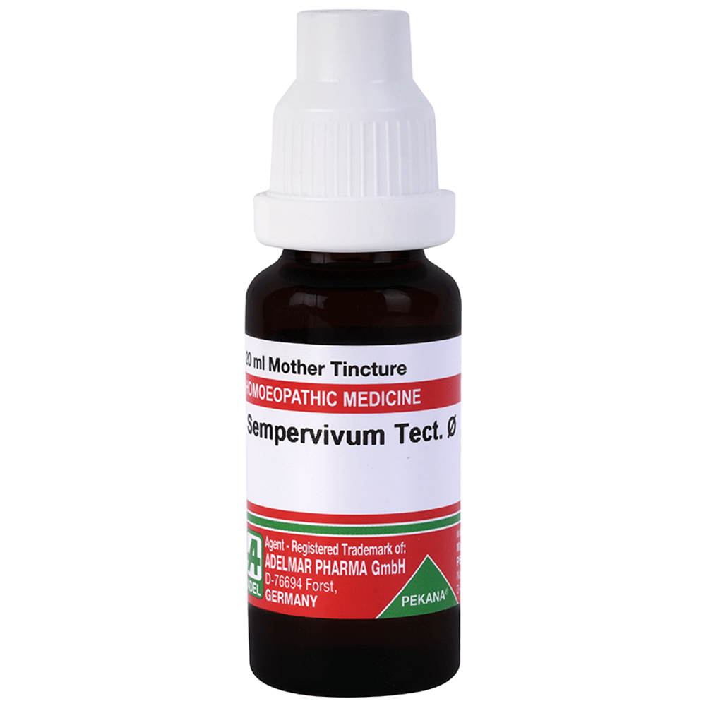 ADEL Sempervivum Tect Mother Tincture Q bottle of 20 ml Mother Tincture