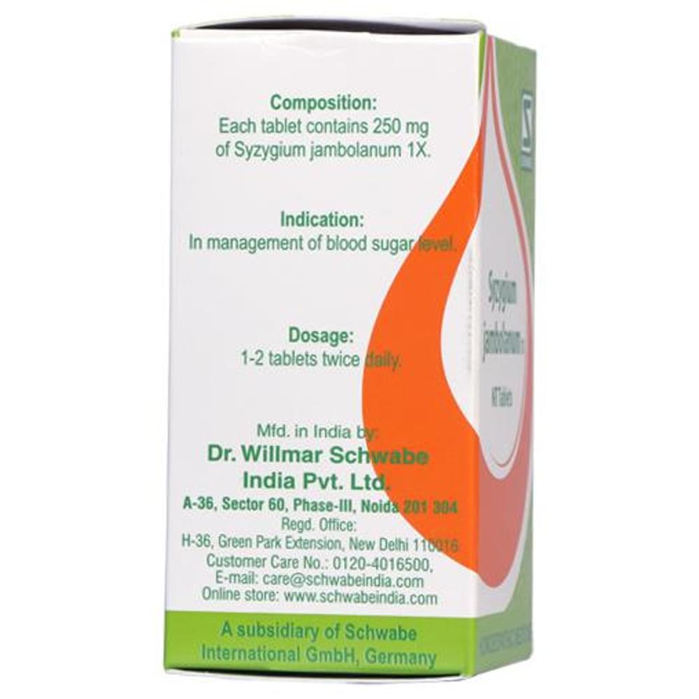 Dr Willmar Schwabe India Syzygium Jambolanum Trituration Tablet 1X bottle of 20 gm Trituration Tablet