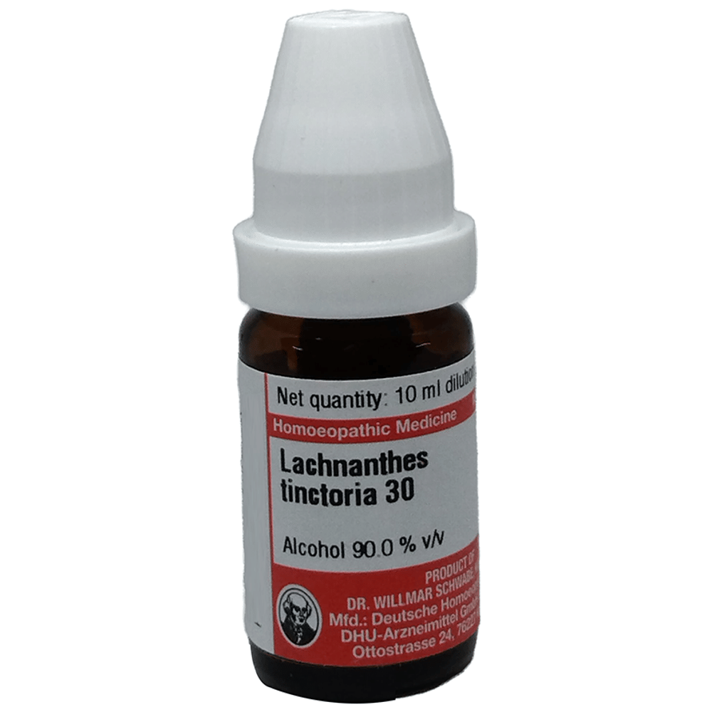 Dr Willmar Schwabe Germany Lacnanthes Tinctoria Dilution 30 bottle of 10 ml Dilution