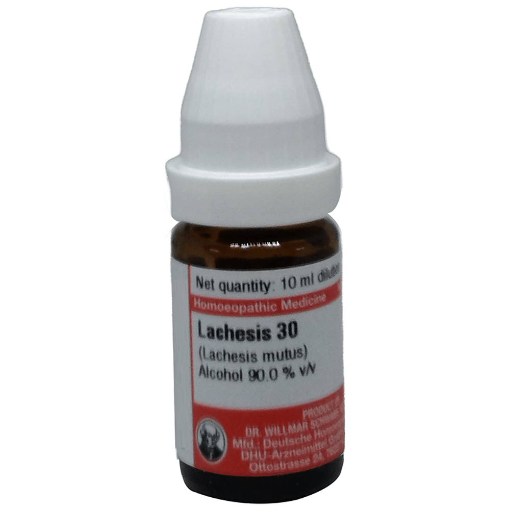 Dr Willmar Schwabe Germany Lachesis Mutus Dilution 30 bottle of 10 ml Dilution